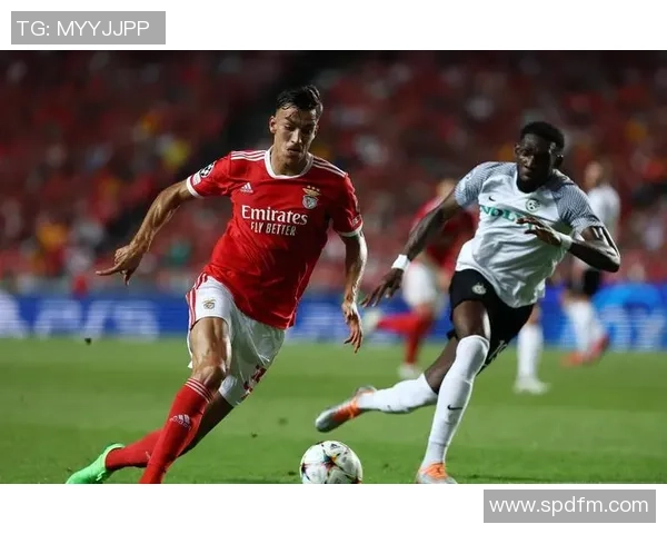 尤尔曼德:此前轮休格里马尔多是为让他歇息;本菲卡压力很大 尤尔曼德:此前轮休格里马尔多是为让他歇息;本菲卡压力很大